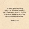 Isaías 41:10: “No temas, porque yo estoy contigo; no desmayes, porque yo soy tu Dios que te esfuerzo; siempre te ayudaré, siempre te sustentaré con la diestra de mi justicia”.