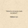 Salmos 23:1: “Jehová es mi pastor; nada me faltará”.