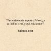 Salmos 40:1: “Pacientemente esperé a Jehová, y se inclinó a mí, y oyó mi clamor”.