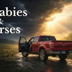 Song About Heaven BABIES & HORSES (Inspired by Jim Woodford’s Testimony)