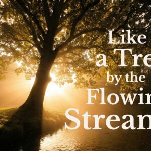 Song About the Narrow Path: LIKE A TREE BY THE FLOWING STREAM (Top 7 Gospel Songs)
